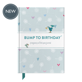 Bump to Birthday pregnancy & first year journal by from you to me