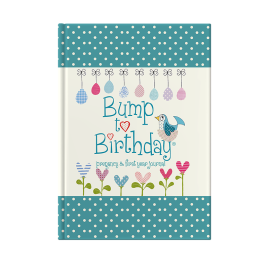 Bump to Birthday (Mummy & Mummy) pregnancy & first year journal cover